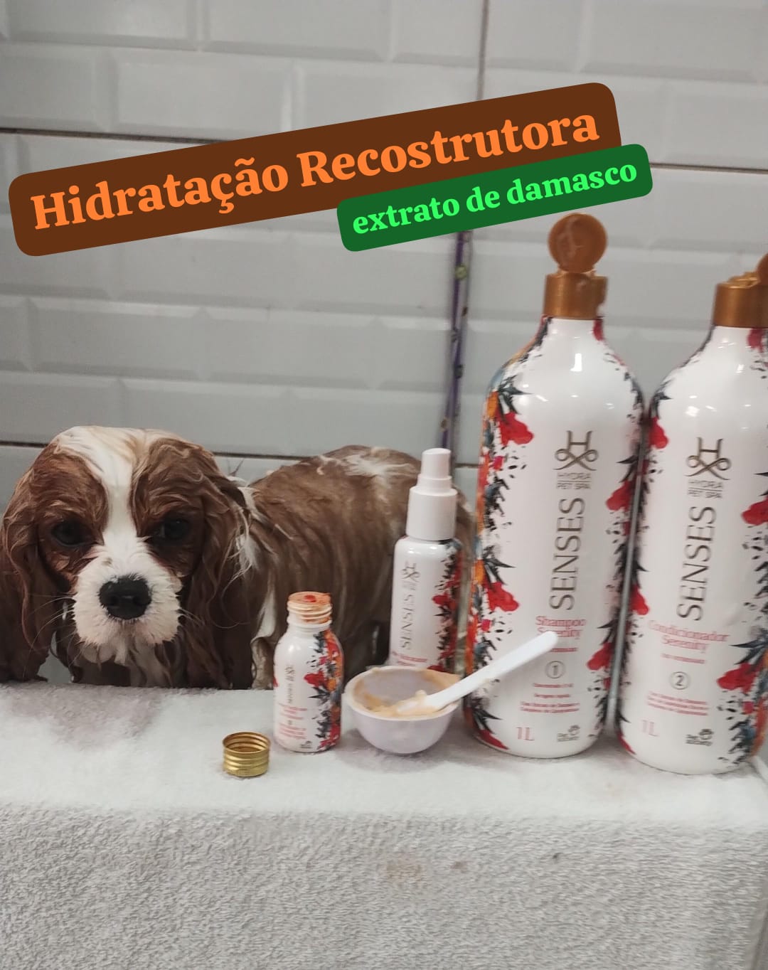 sexta-feira, 12/12/2025 13:08