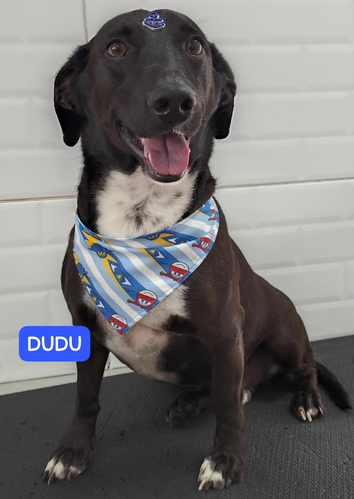 quinta-feira, 08/01/2026 15:47