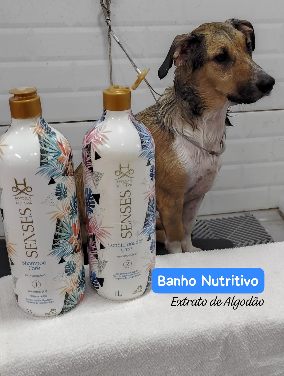 quinta-feira, 08/01/2026 15:47