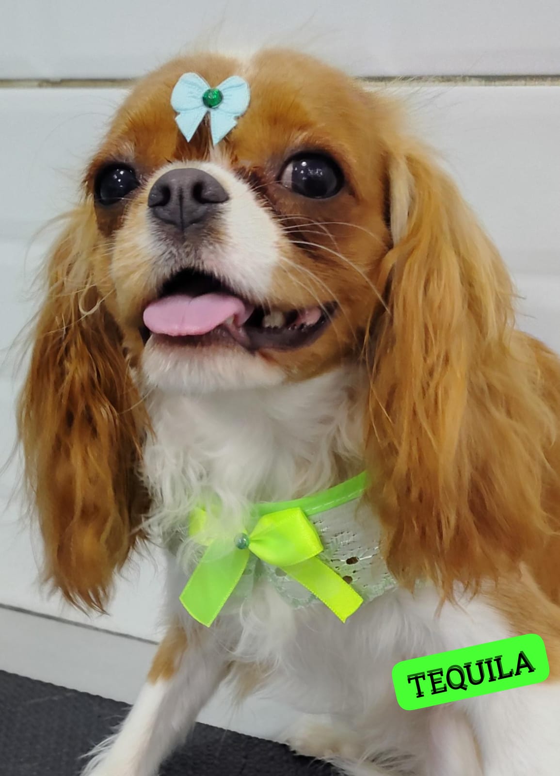 quinta-feira, 08/01/2026 15:56