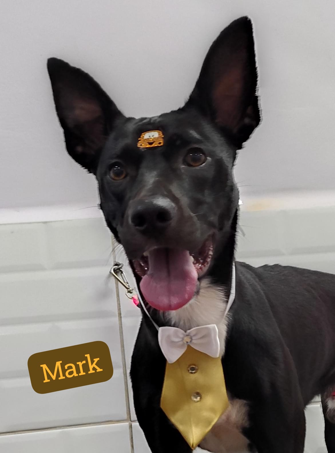 sexta-feira, 09/01/2026 06:52