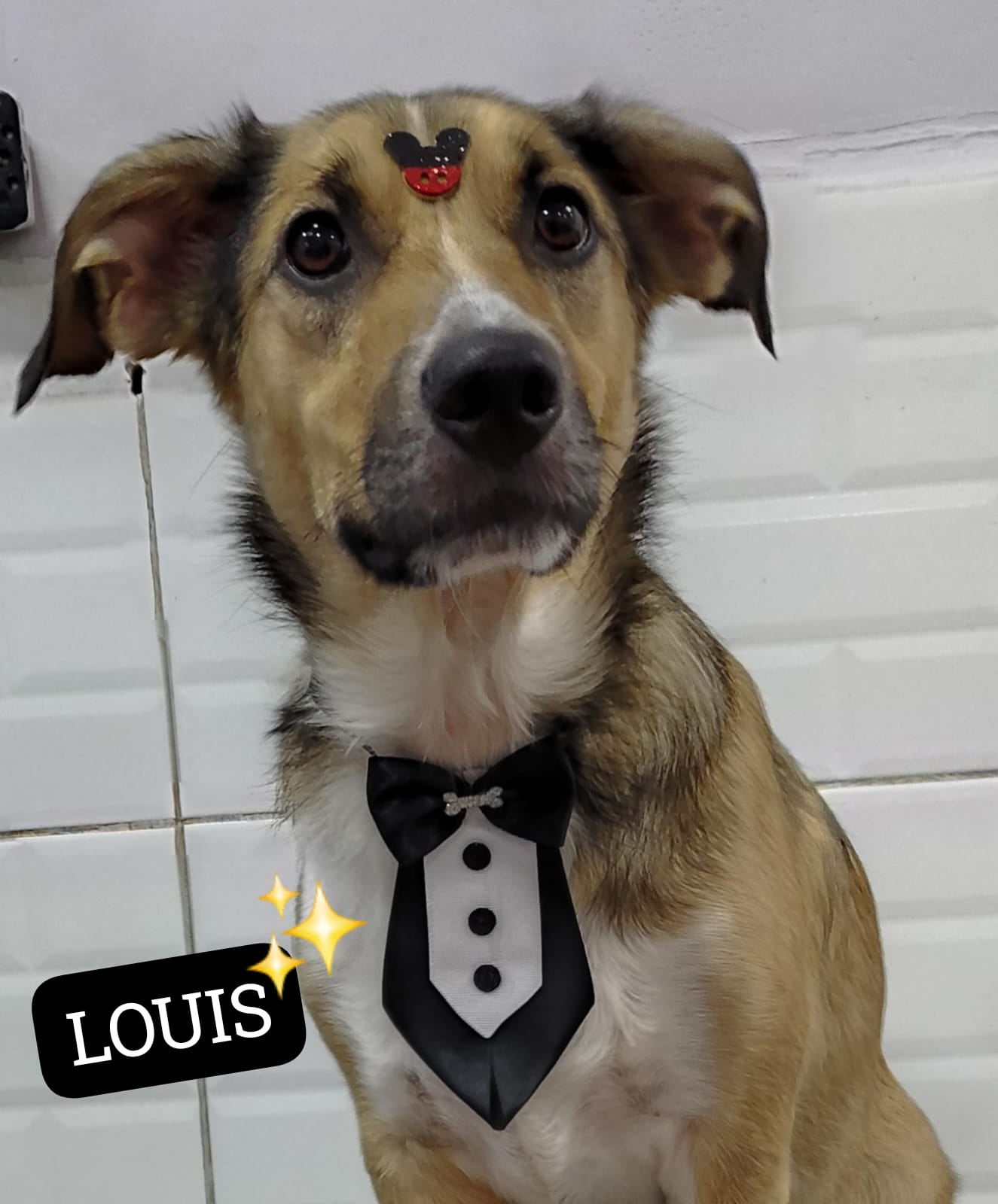 sexta-feira, 09/01/2026 06:52