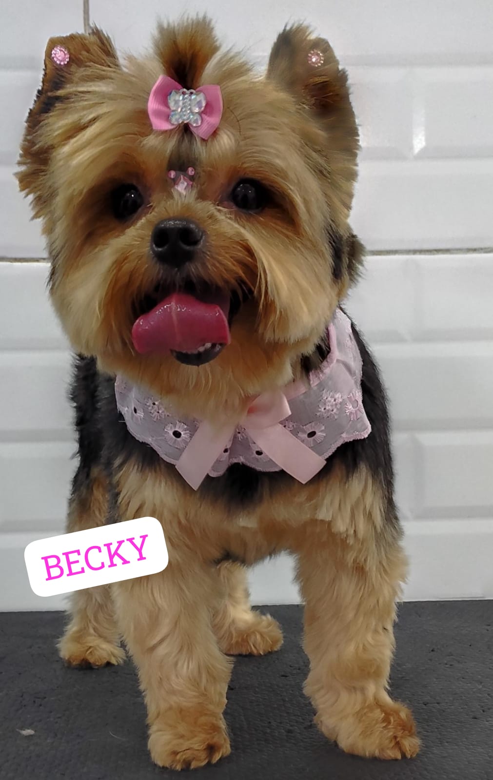 sexta-feira, 09/01/2026 15:43