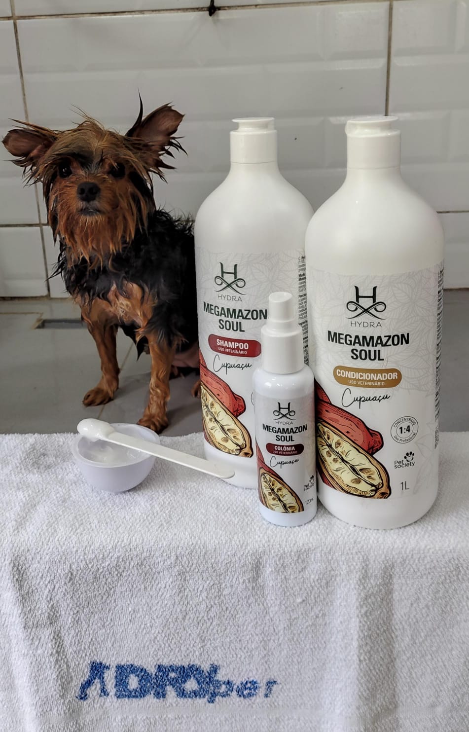 sexta-feira, 09/01/2026 15:43