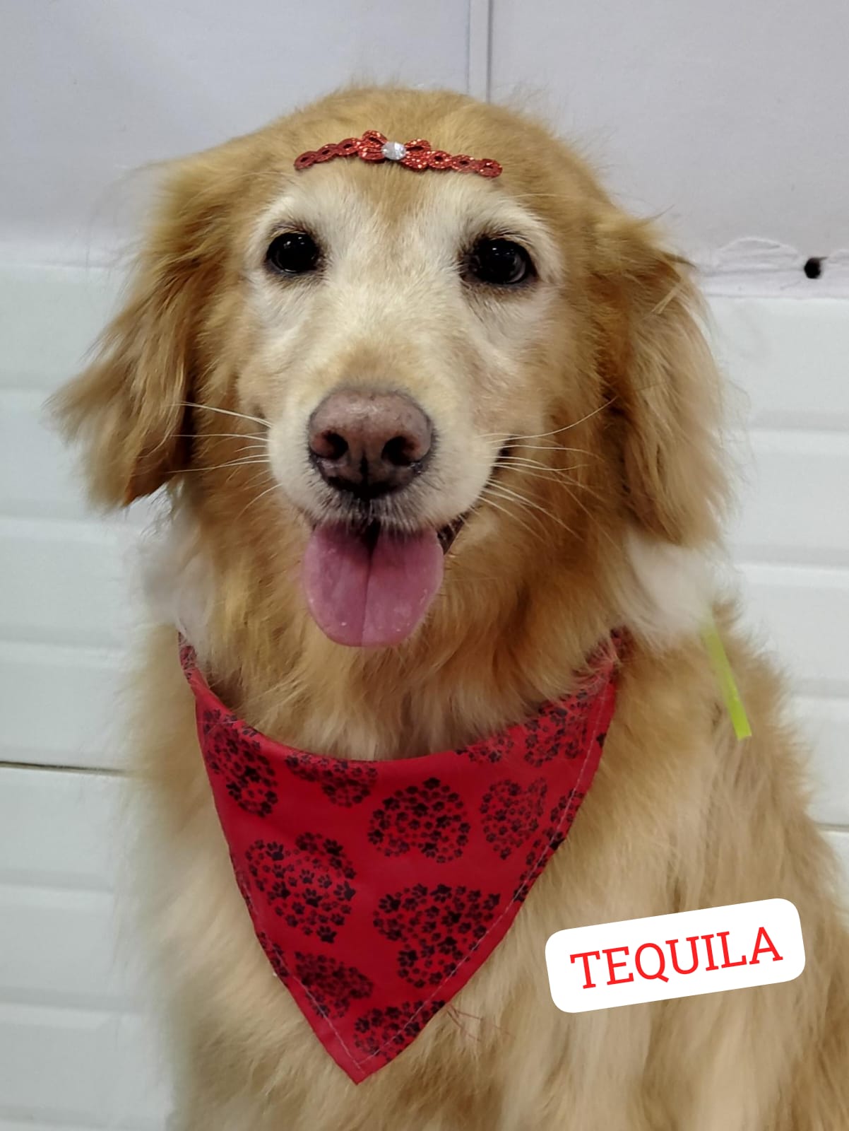 sexta-feira, 09/01/2026 15:43