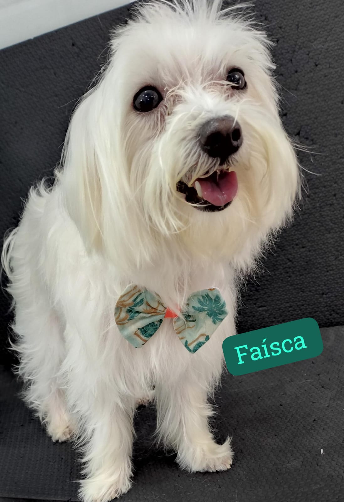 sexta-feira, 09/01/2026 15:43