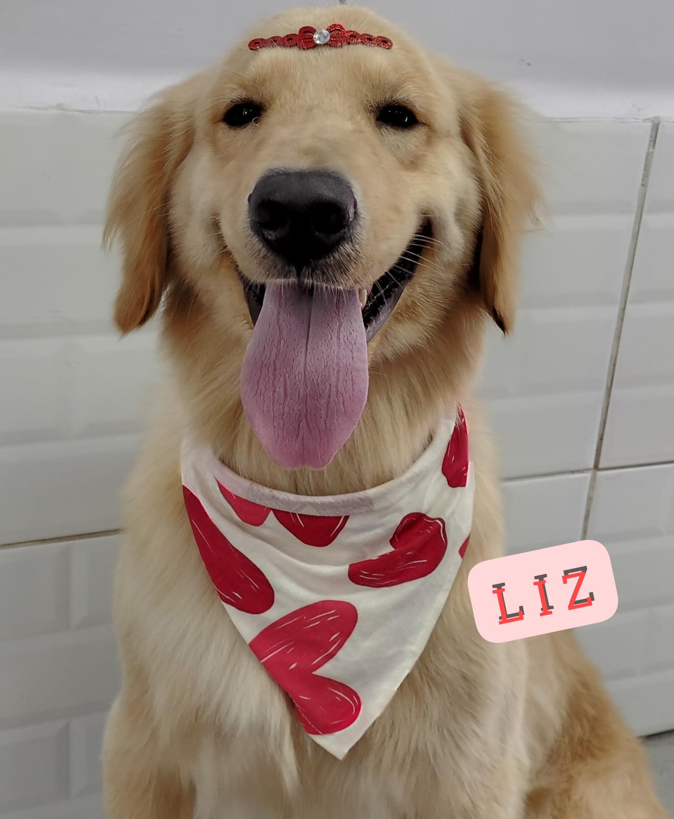 sexta-feira, 09/01/2026 15:43