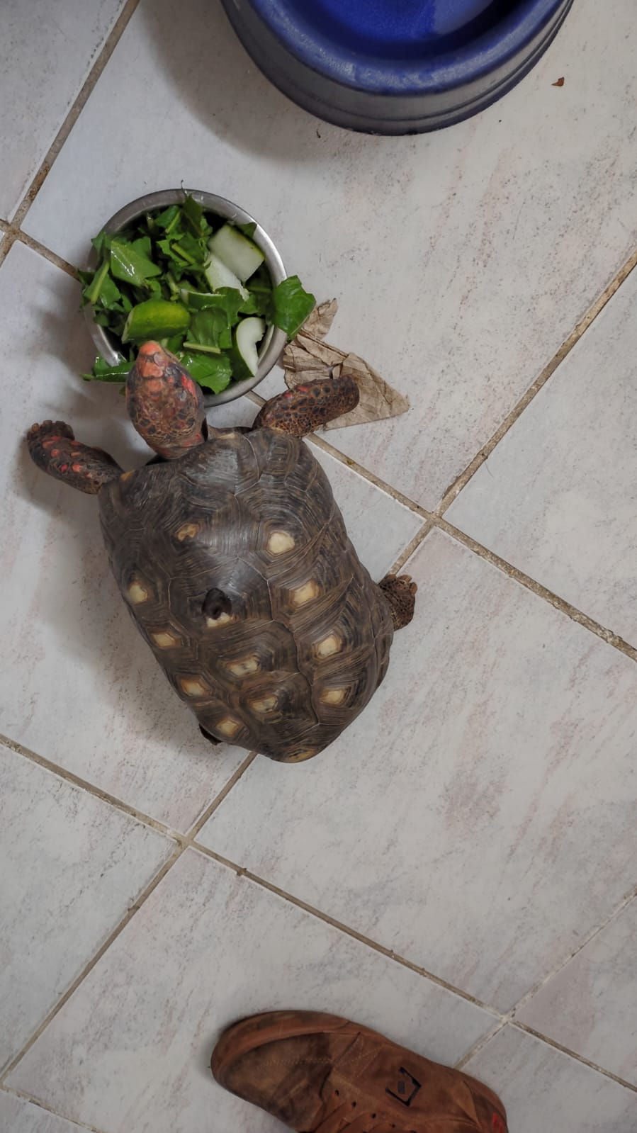 sexta-feira, 09/01/2026 15:43