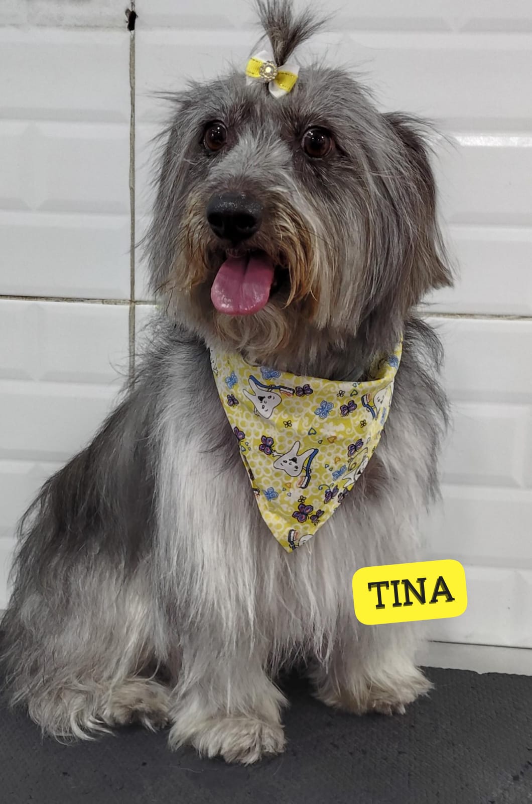 sexta-feira, 09/01/2026 16:49