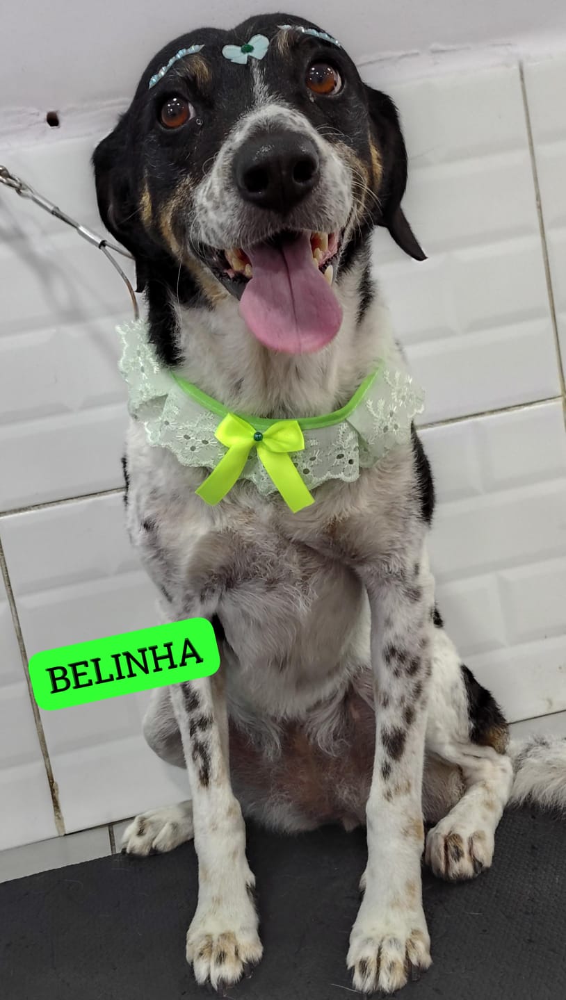 sexta-feira, 09/01/2026 16:49