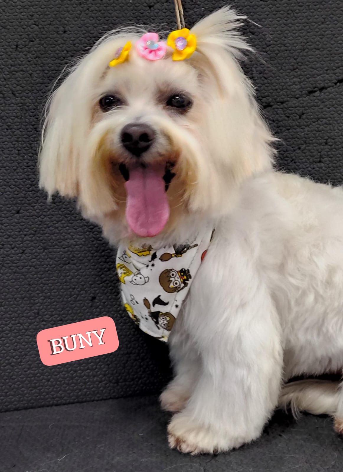 sexta-feira, 09/01/2026 22:16