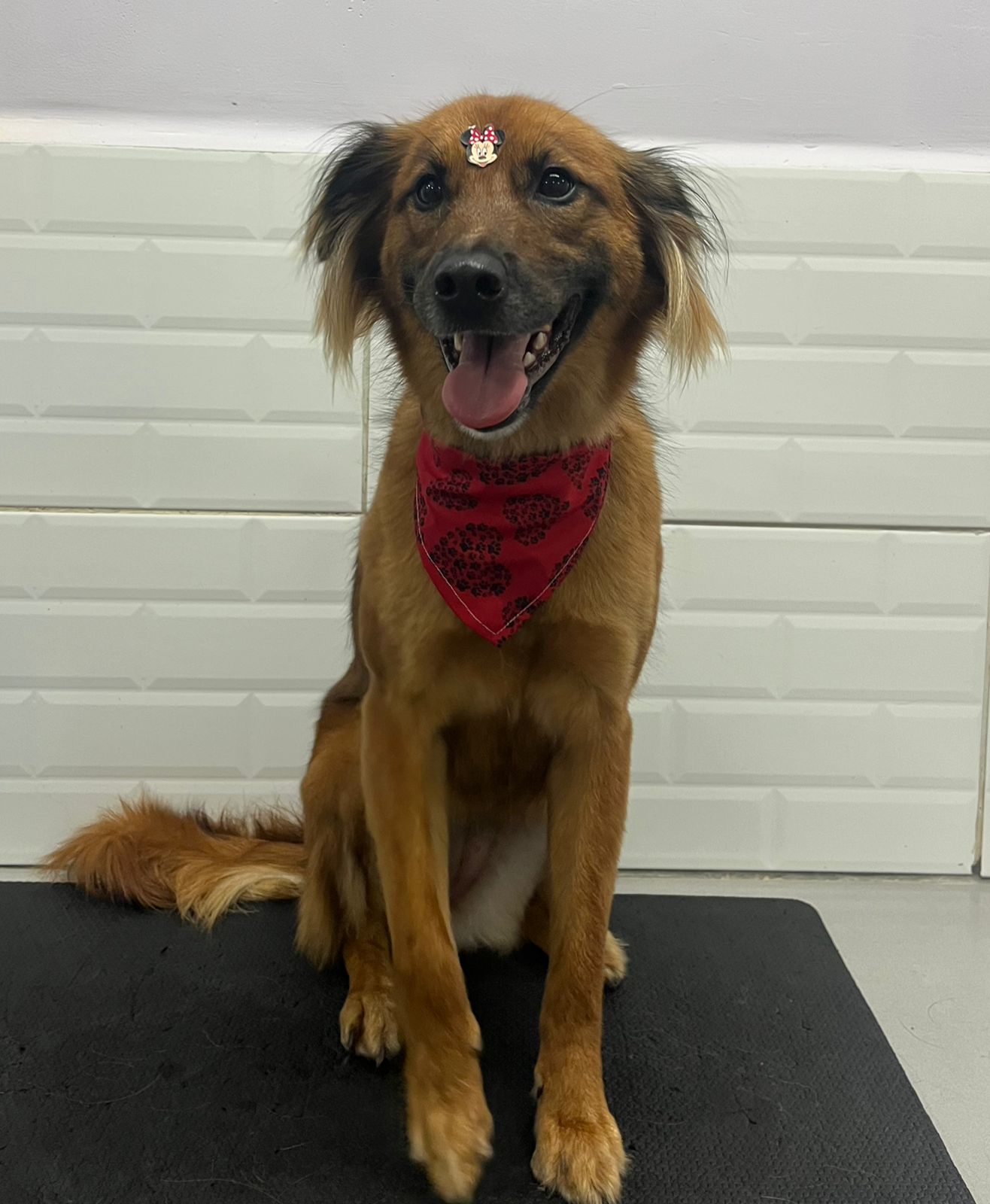 sexta-feira, 09/01/2026 22:16