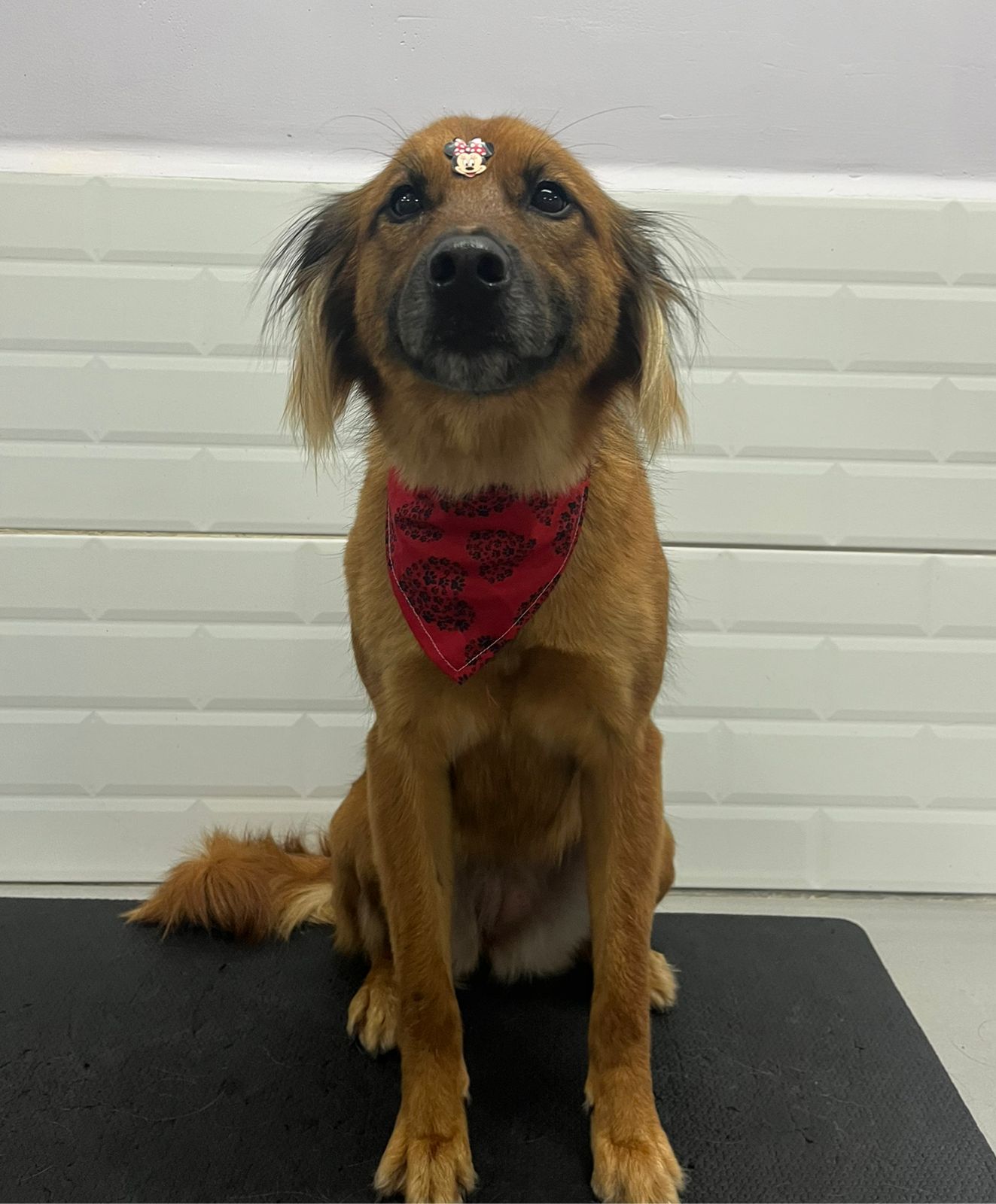 sexta-feira, 09/01/2026 22:16