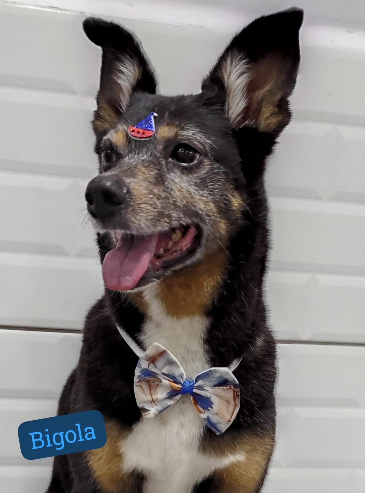 sexta-feira, 09/01/2026 22:16