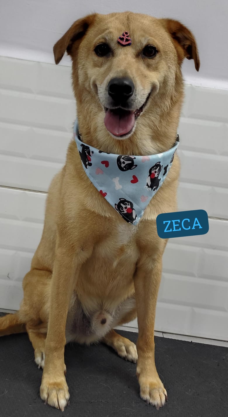 sexta-feira, 09/01/2026 22:16