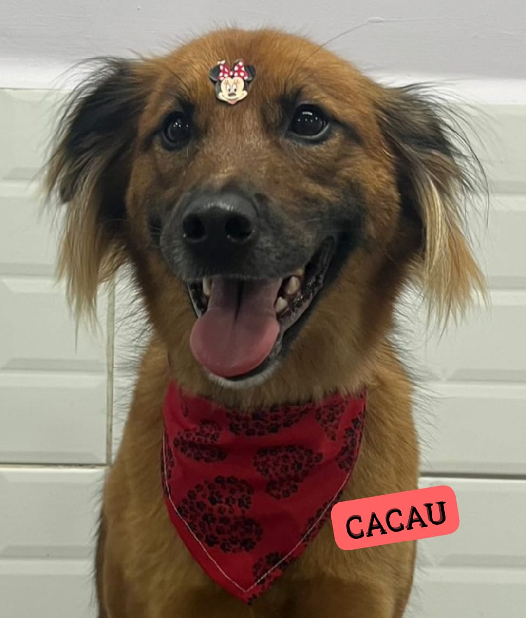 sábado, 10/01/2026 06:57