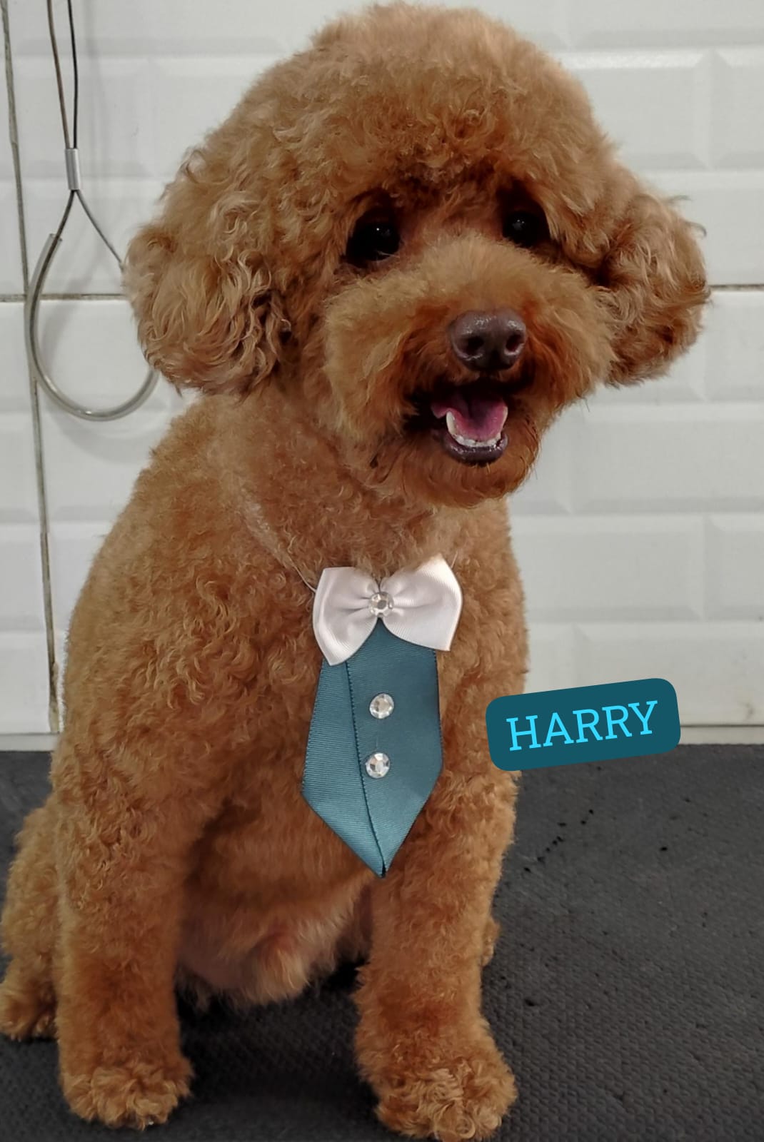 sábado, 10/01/2026 11:05