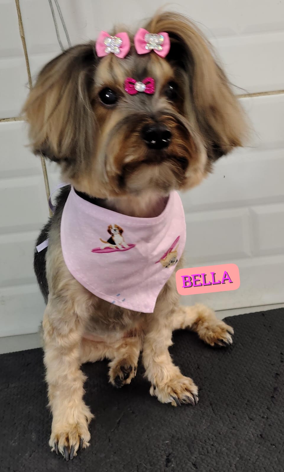 sábado, 10/01/2026 11:48