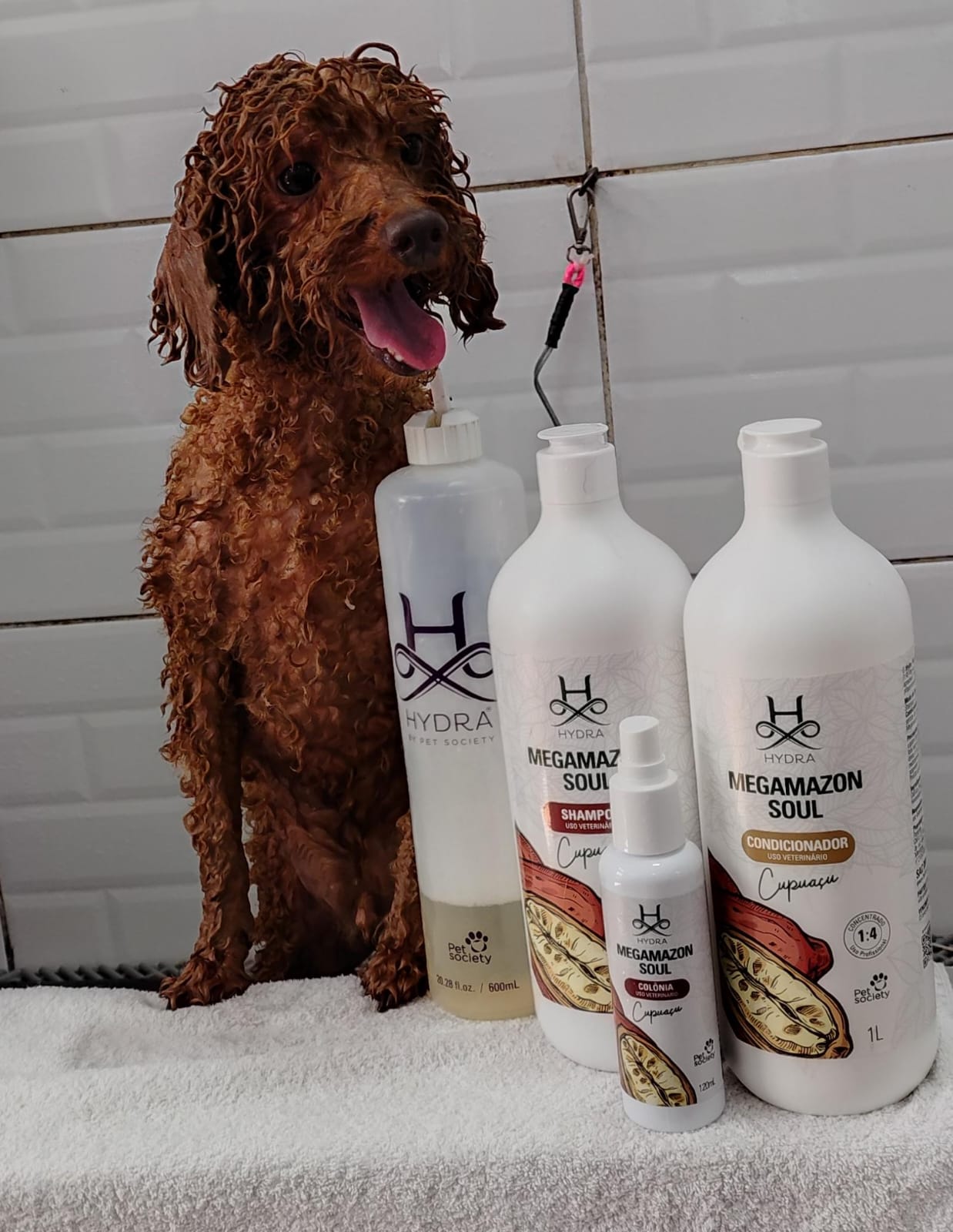 sábado, 10/01/2026 11:48