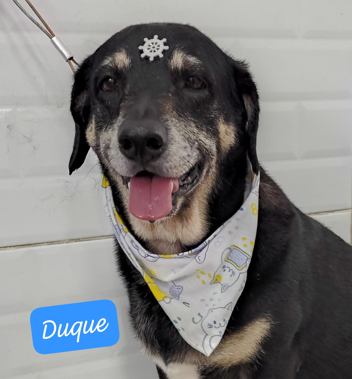 sábado, 10/01/2026 11:48