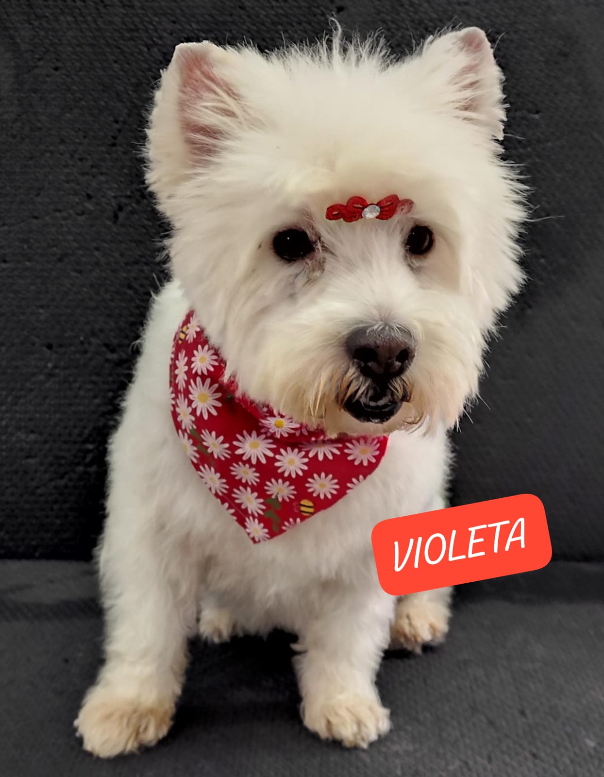 sábado, 10/01/2026 12:47