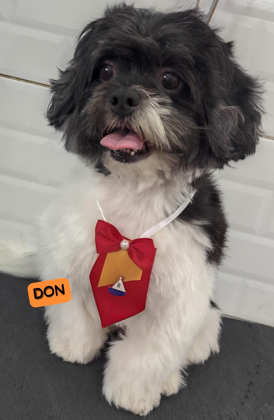 segunda-feira, 12/01/2026 14:22