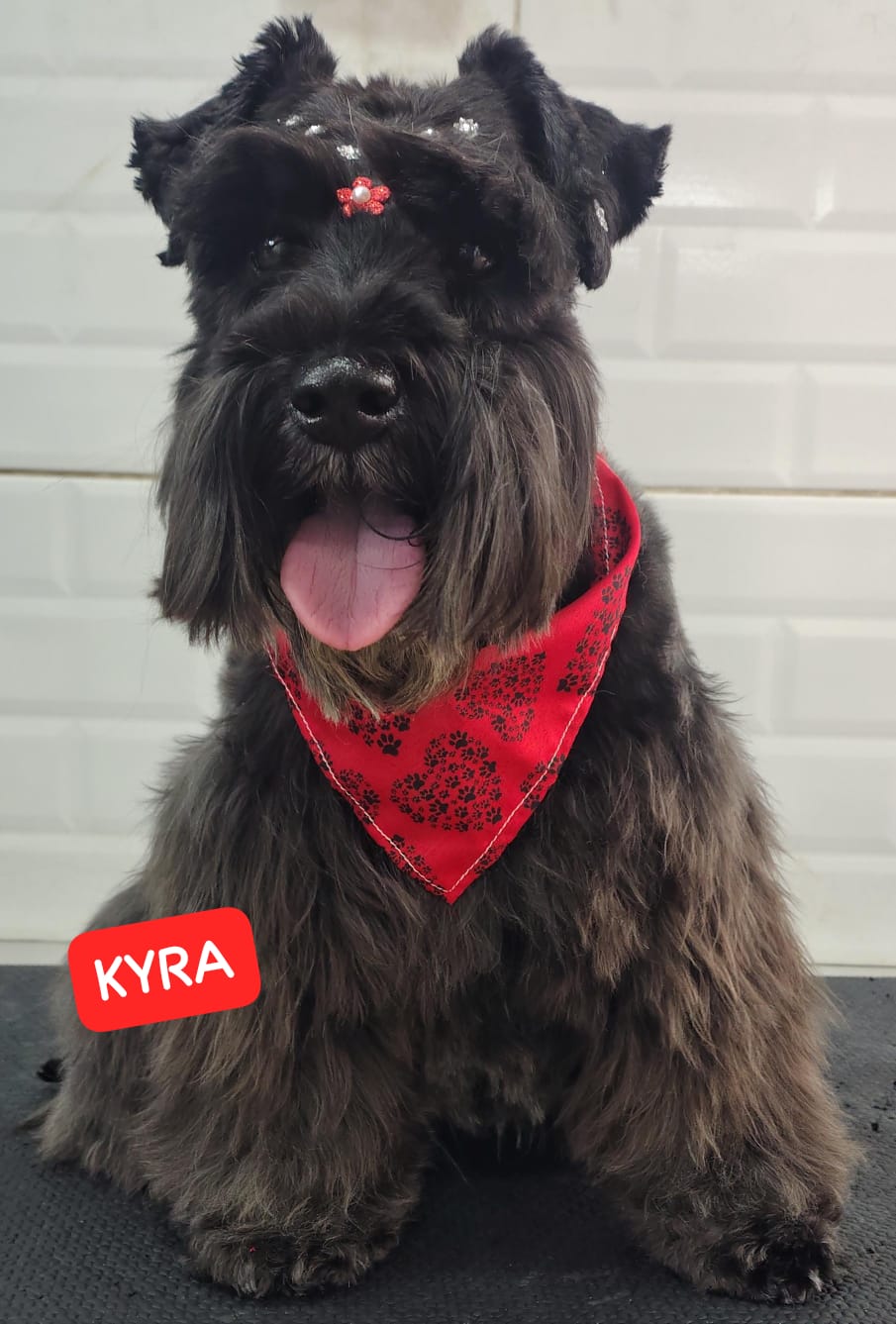 segunda-feira, 12/01/2026 14:22