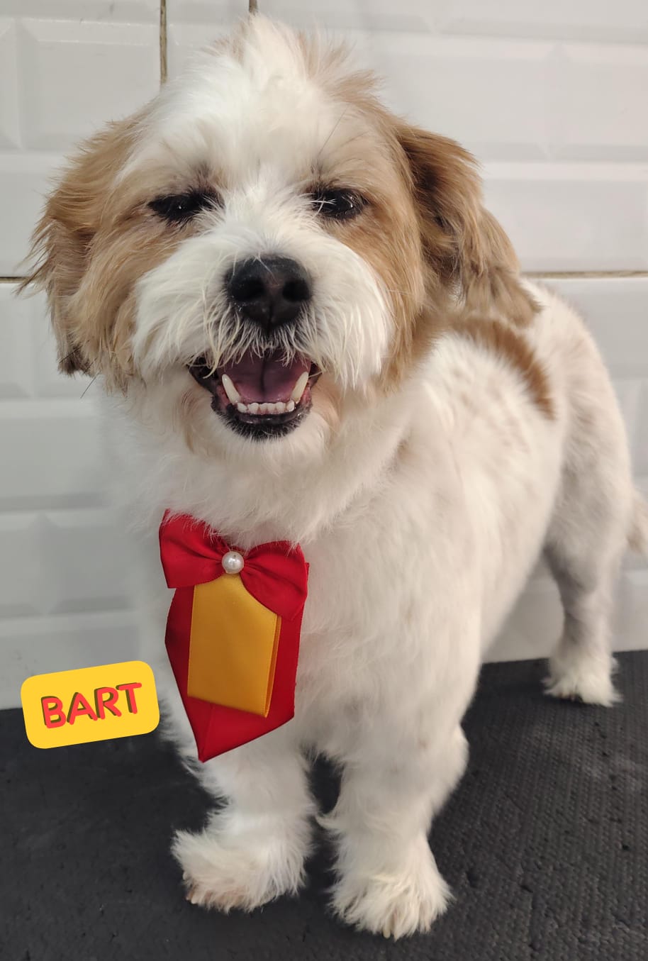 segunda-feira, 12/01/2026 14:22