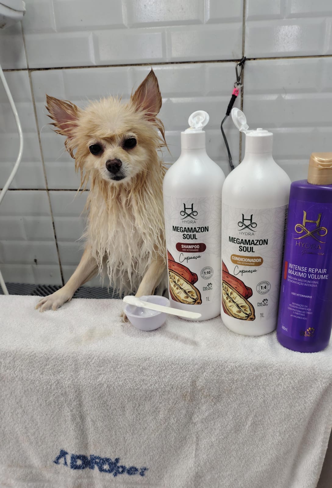 segunda-feira, 12/01/2026 14:22