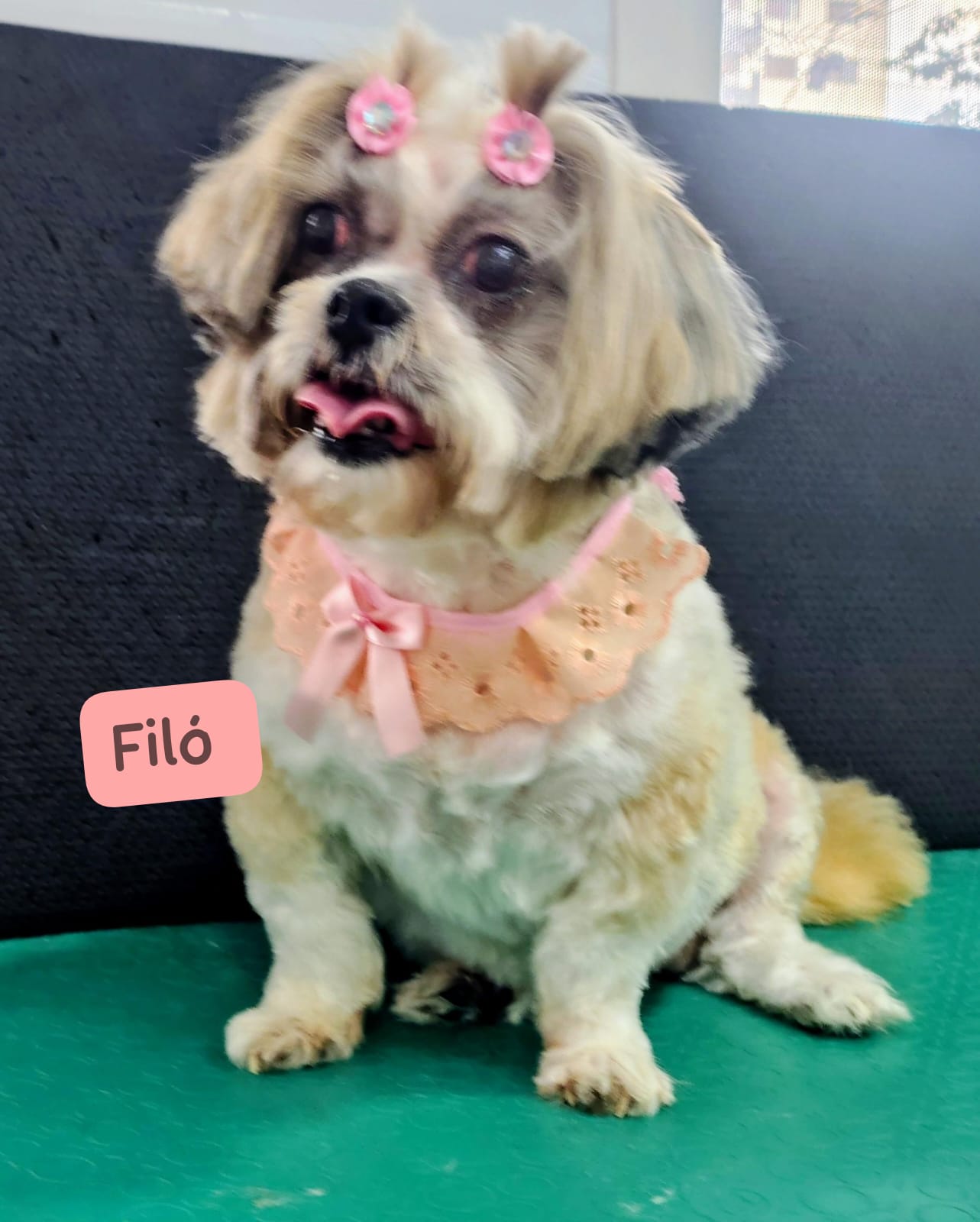 segunda-feira, 12/01/2026 18:09