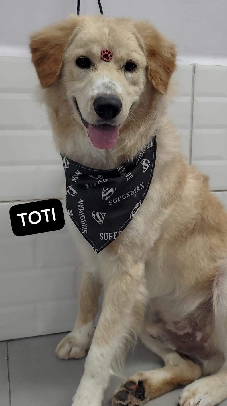 segunda-feira, 12/01/2026 18:09