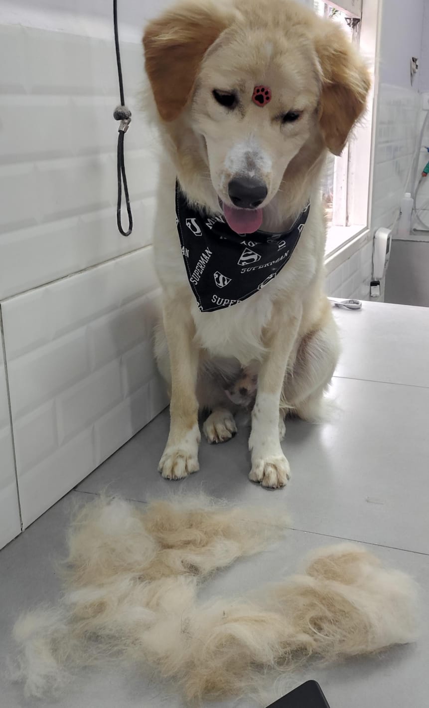 segunda-feira, 12/01/2026 18:09