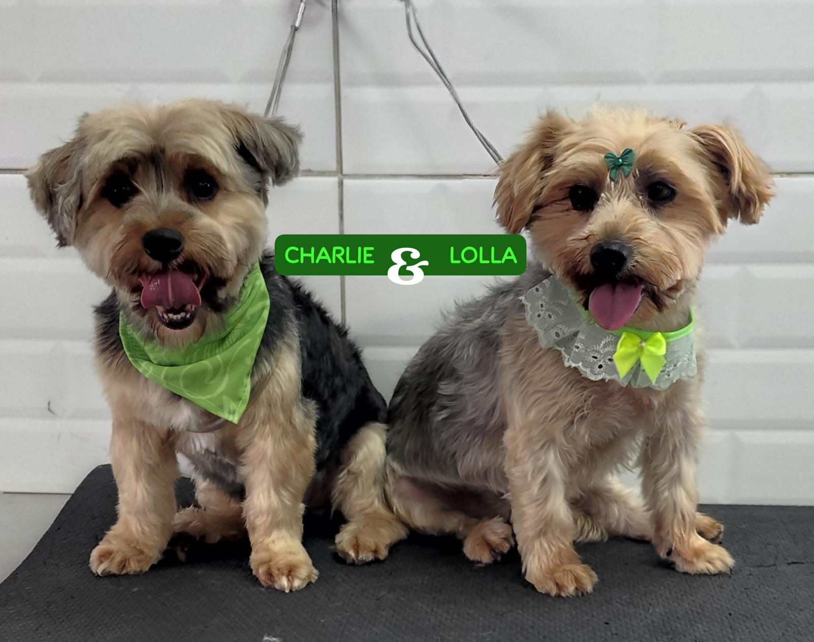 terça-feira, 13/01/2026 14:25