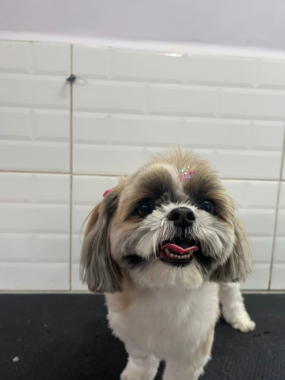 terça-feira, 13/01/2026 15:29