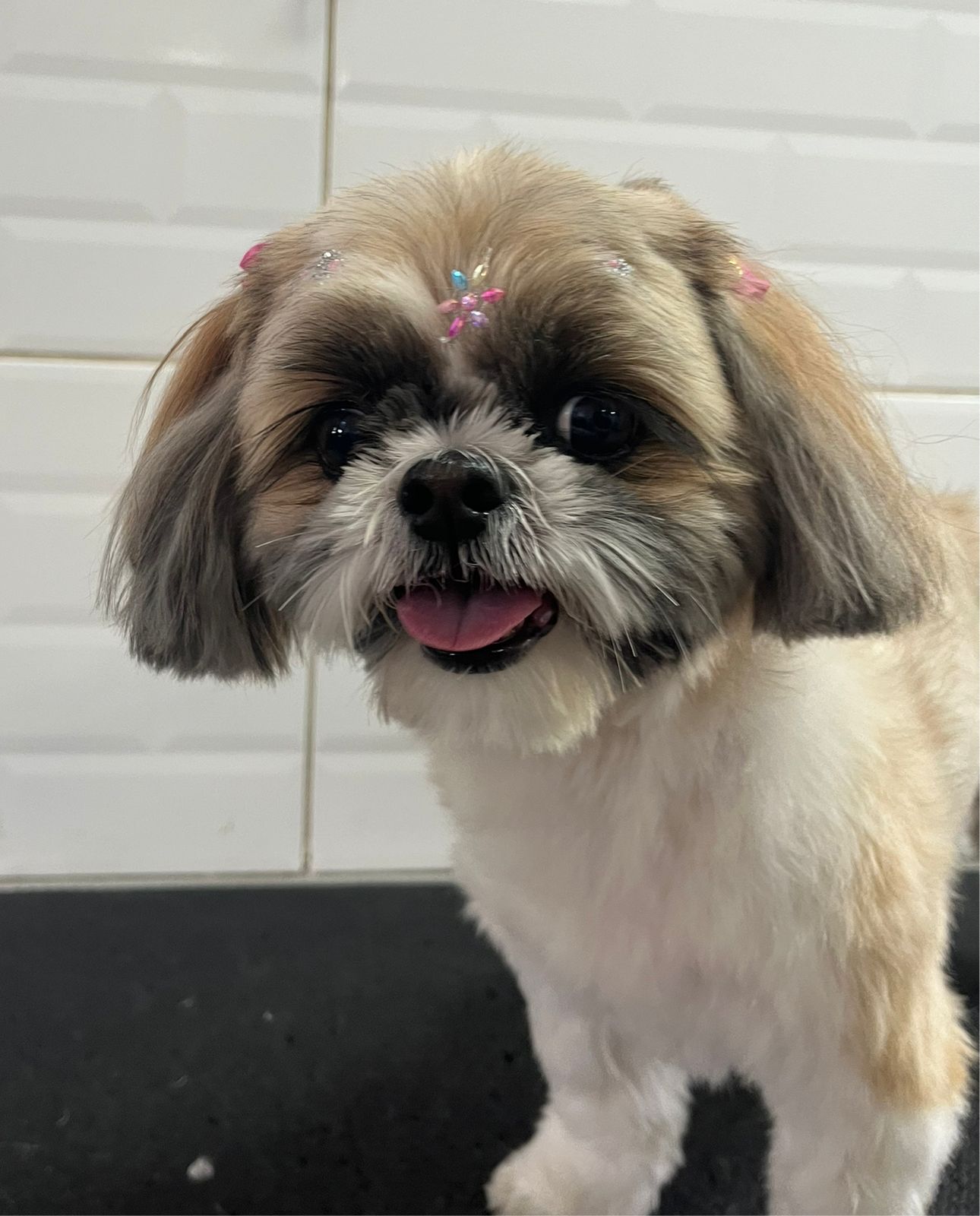 terça-feira, 13/01/2026 15:29