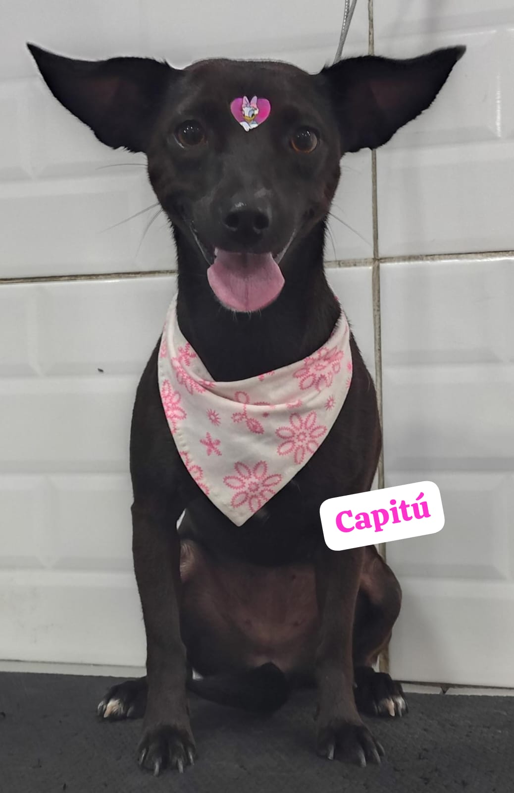 quarta-feira, 14/01/2026 14:38