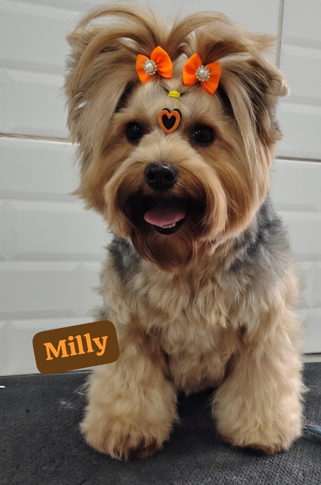 quarta-feira, 14/01/2026 14:38