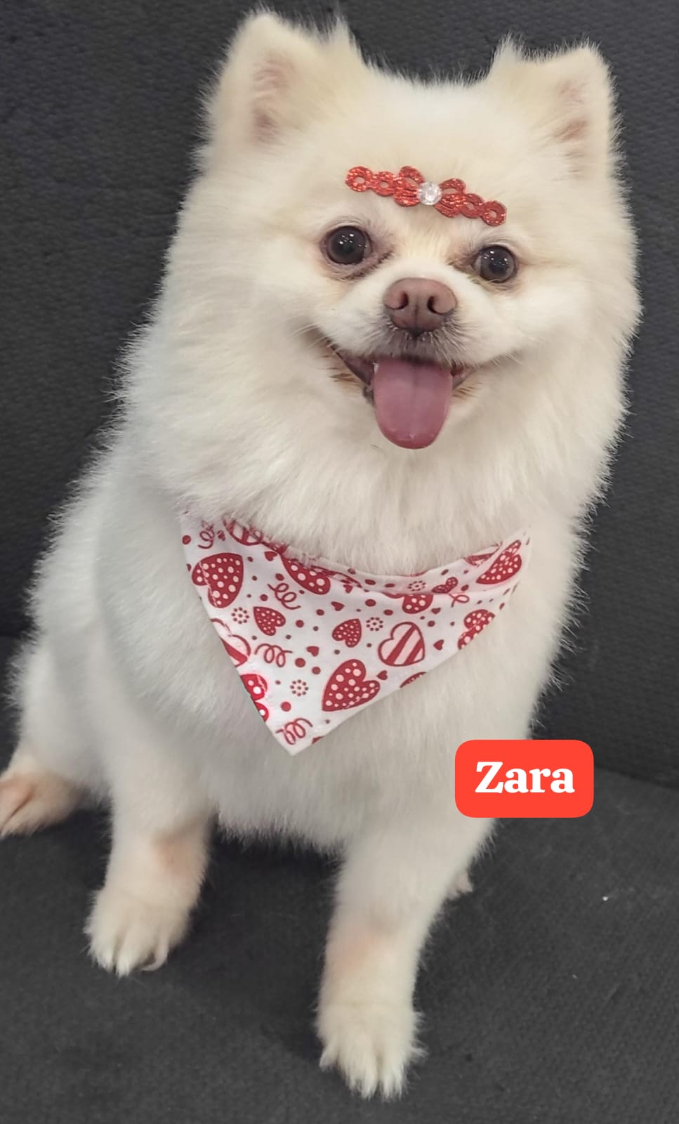 quarta-feira, 14/01/2026 15:47