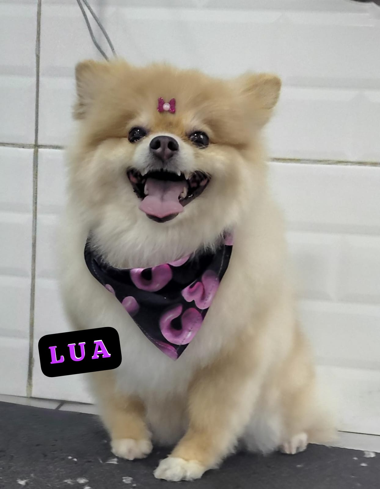 quarta-feira, 14/01/2026 17:16