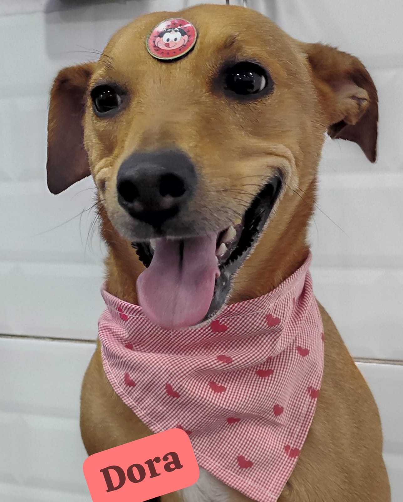 quarta-feira, 14/01/2026 17:16