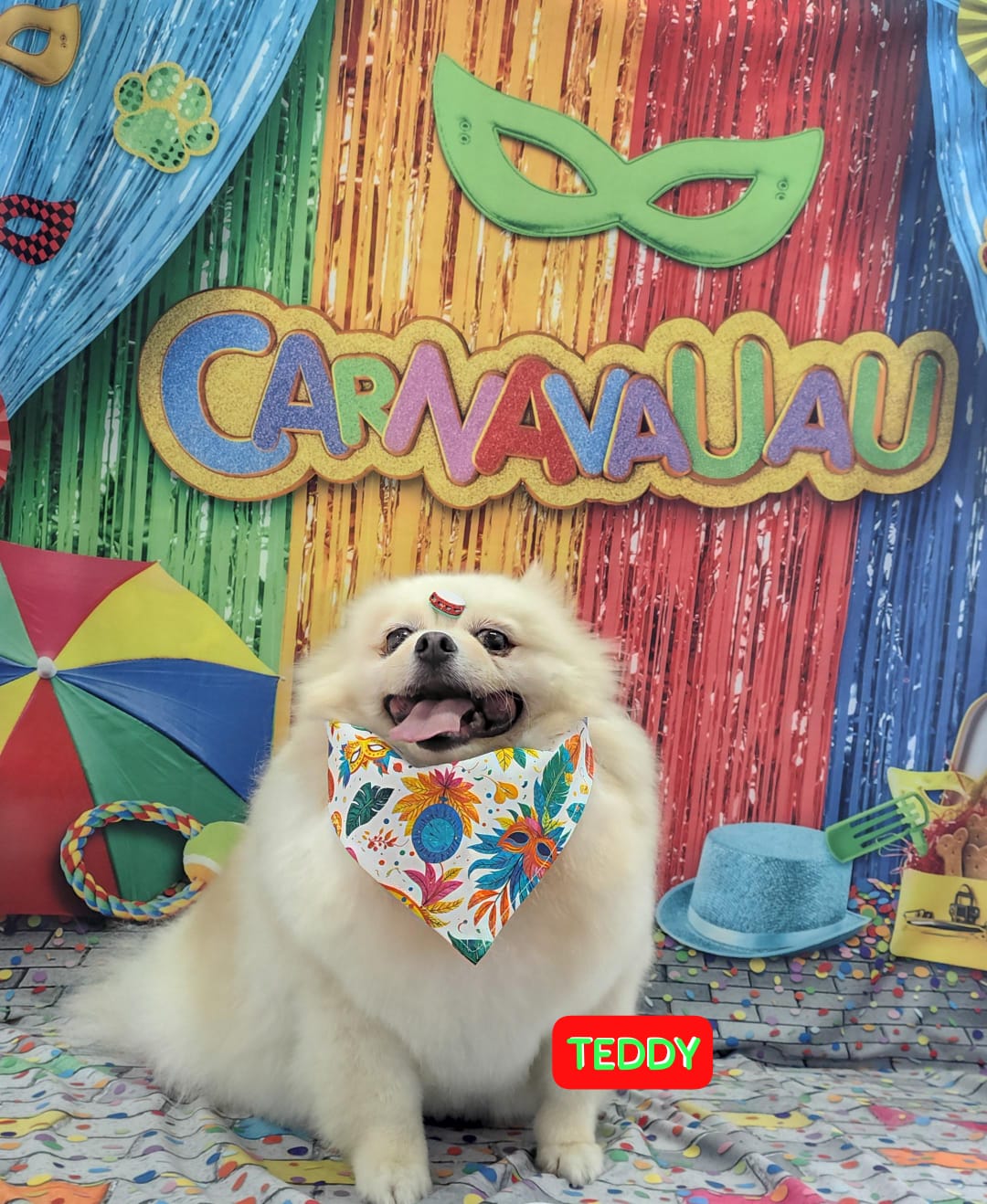 Foto do dia 03/02/2026 16:36  na clínica Animal House