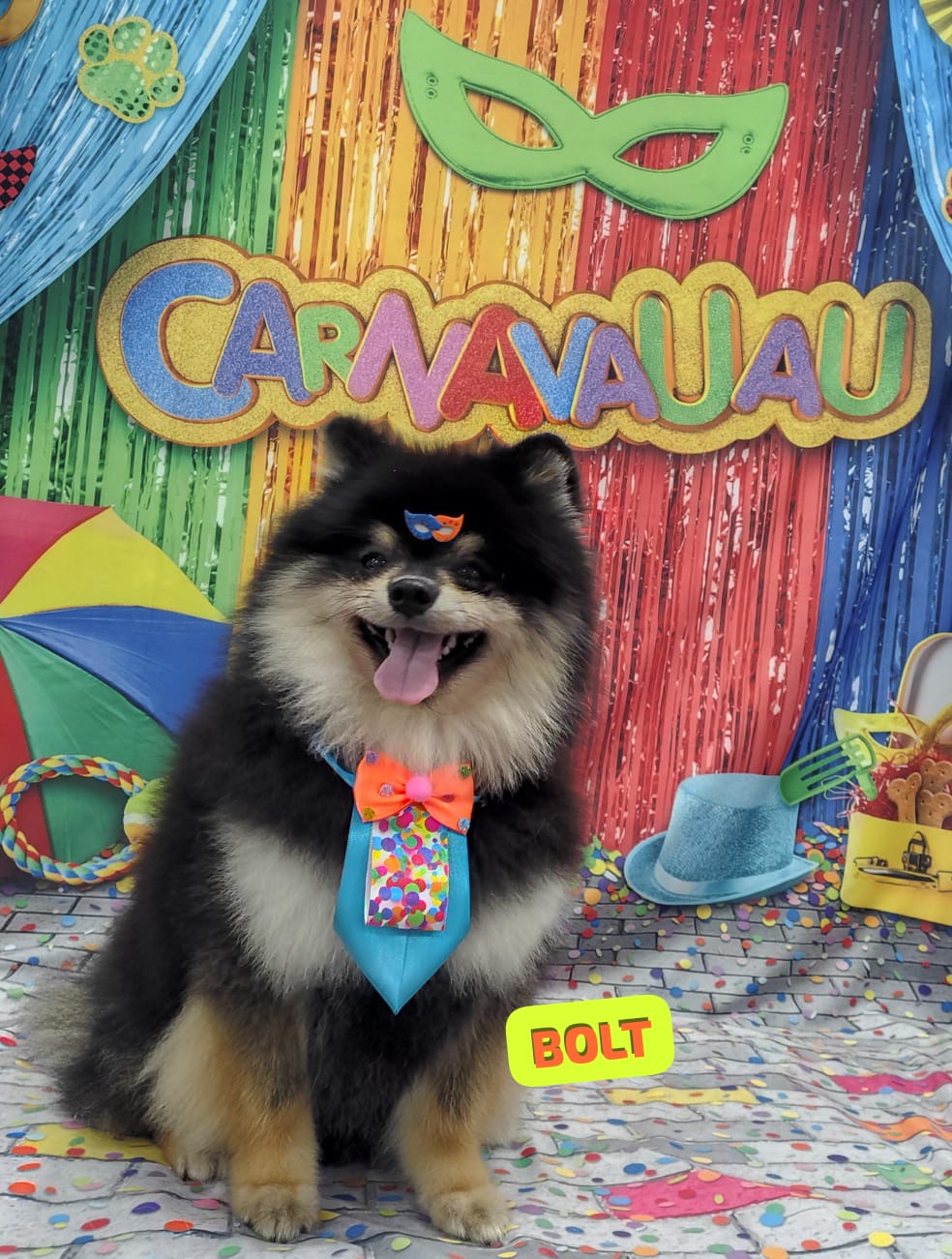 Foto do dia 03/02/2026 19:19  na clínica Animal House