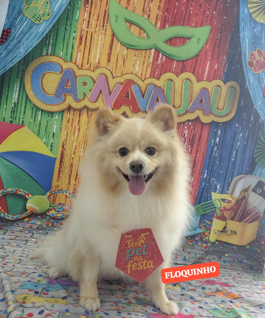 Foto do dia 09/02/2026 13:57  na clínica Animal House