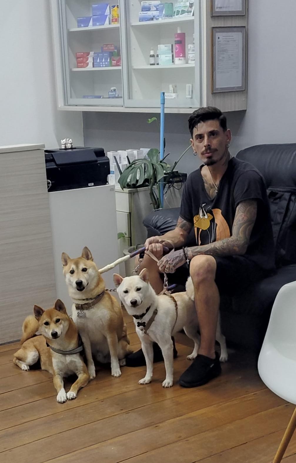 Foto do dia 13/02/2026 18:58  na clínica Animal House