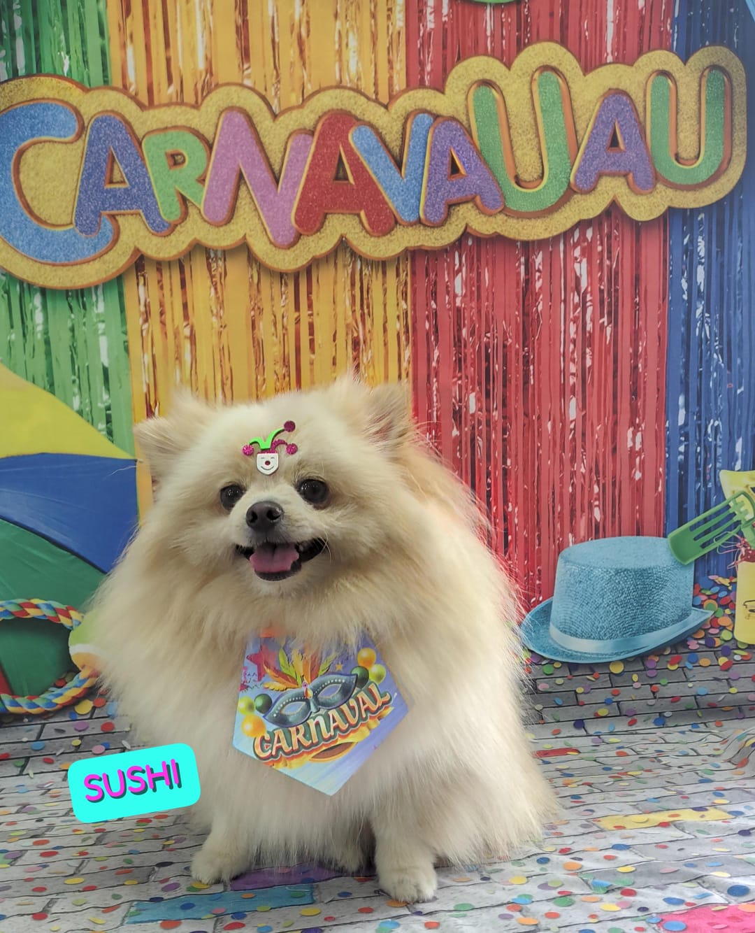 Foto do dia 18/02/2026 11:49  na clínica Animal House