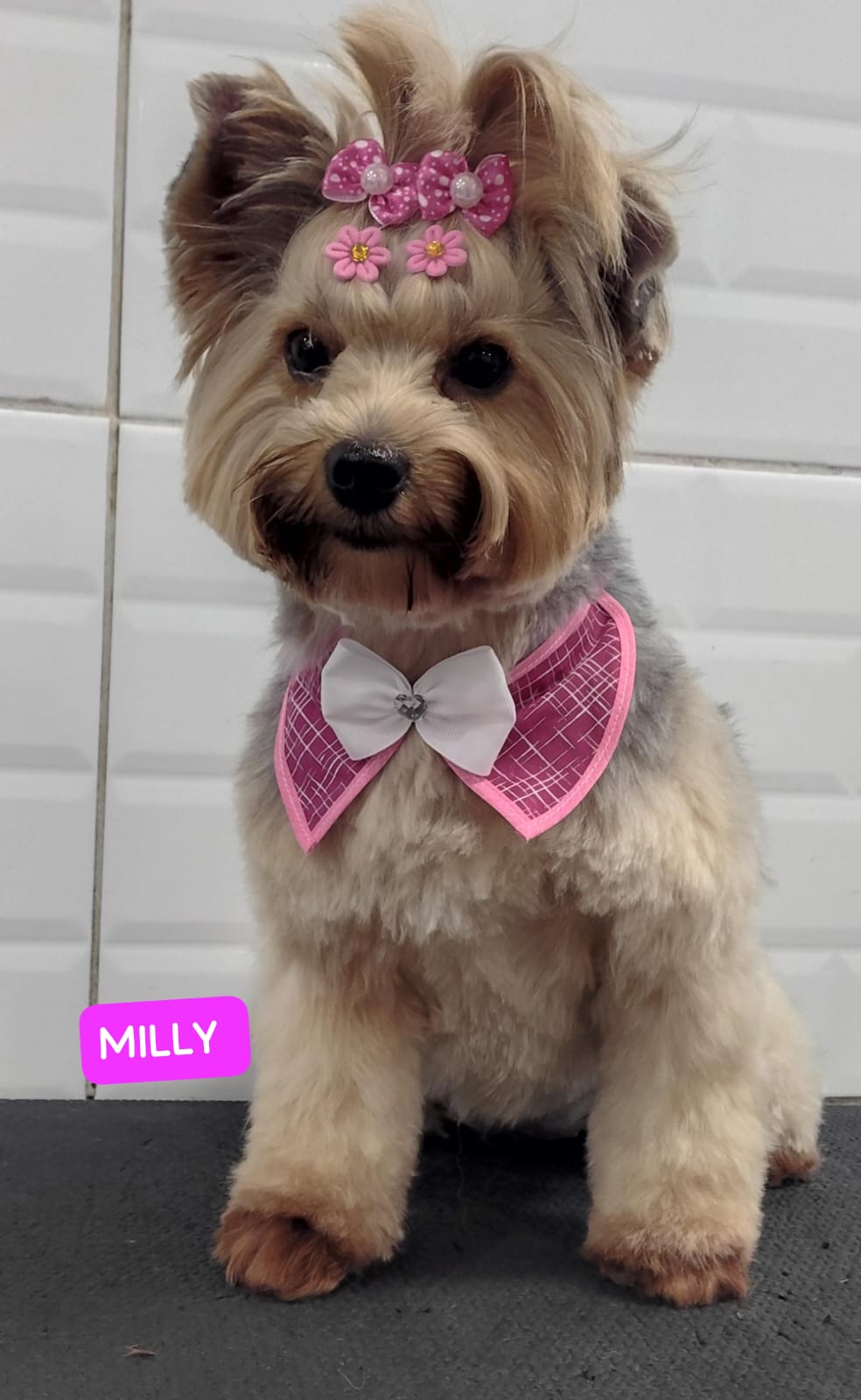 Milly