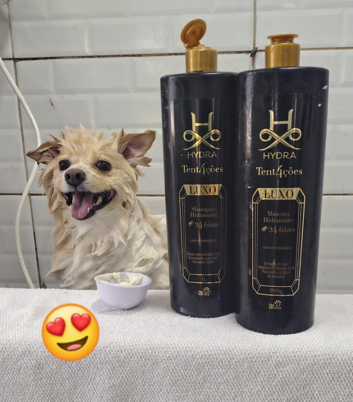 Foto do dia 16/03/2026 13:39  na clínica Animal House