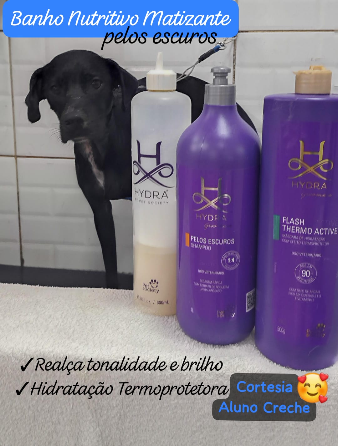 Foto do dia 24/03/2026 17:35  na clínica Animal House