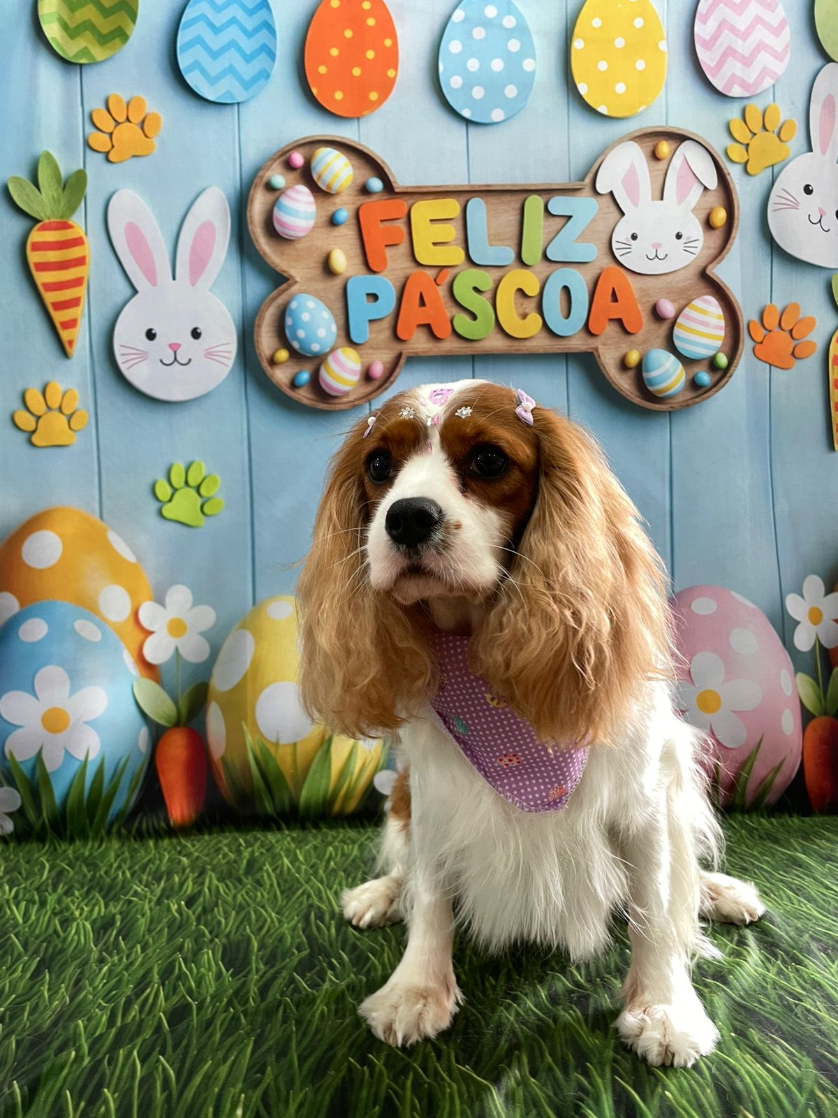 antes do Allan entrar