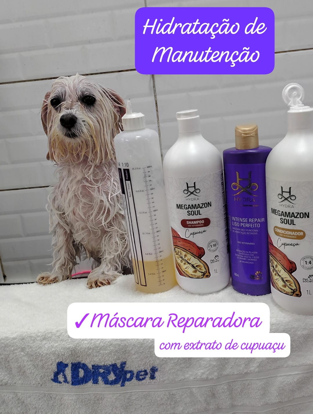 Foto do dia 17/04/2026 16:51  na clínica Animal House